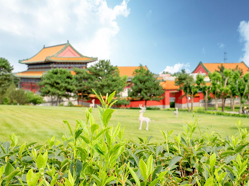 在陵园名气上，天寿陵园和佛山陵园哪个名气更大（天寿和佛山该如何选择）