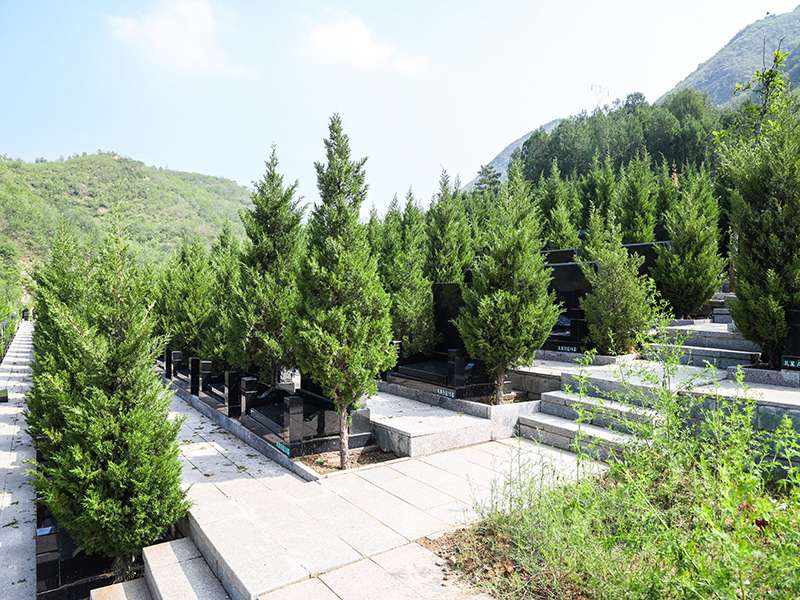 佛山陵园可以正常扫墓吗（佛山陵园线路怎么走）